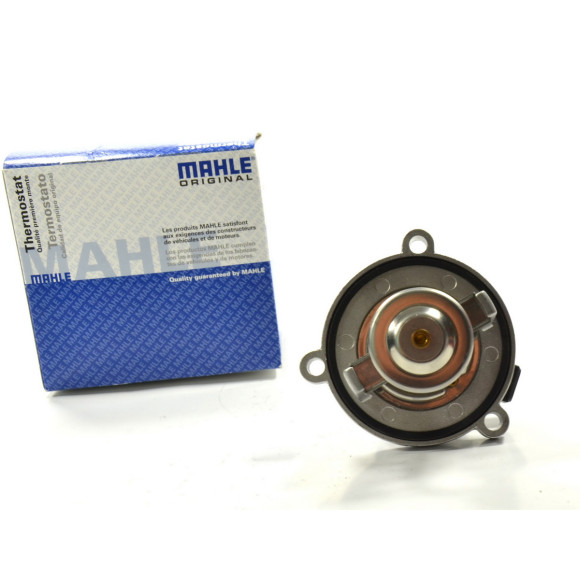 Termostat BMW E60 E65 X5 F01 F07 F10 540 545 550 650 735 740 760 745 750 - 11537586885