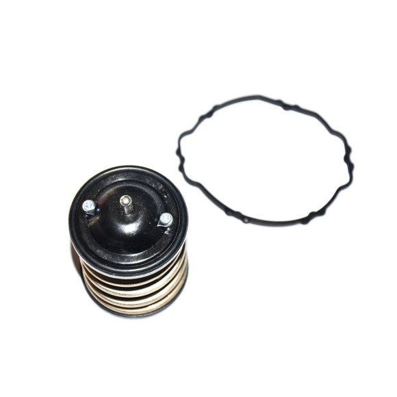 Termostat BMW E60 E61 E70 E71 E81 E87 E90 E91 F01 F10 F11 MINI F55 R56 R60 520d 118d 120d 123d 318d 330d 320d 525d 530d - 115178