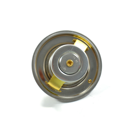 Termostat BMW E31 E34 E32 E38 840i 730i 740i 530i 540i M60 V8 - 11531702279